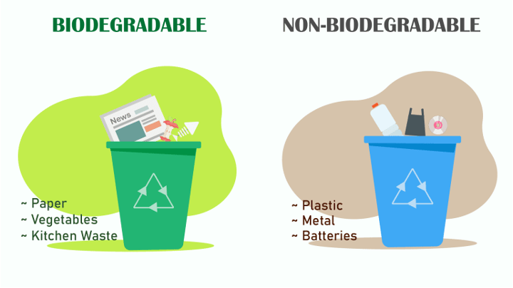 Lesson 19: Waste Management System - Coding & AI Lab